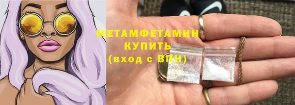 прущие грибы Заволжье