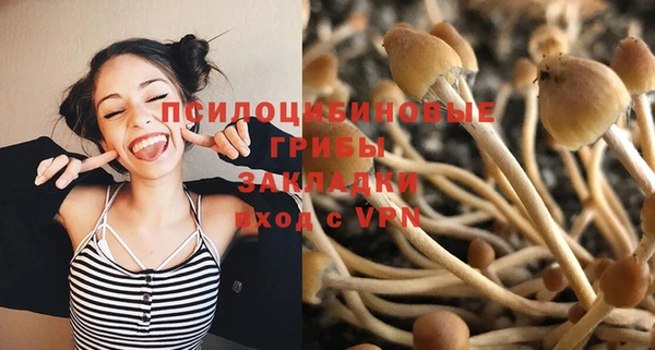 дурь Богородск