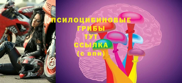 дурь Богородск